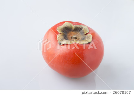 persimmon 26078107