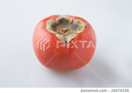 persimmon 26078108