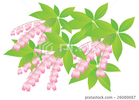 阿塞比 阿塞比 26080087