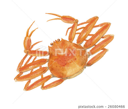 Crab crab Crab crab 26080466