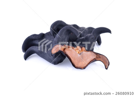 boiled bull horn Shaped Water Caltrop nut on white boiled bull horn Shaped Water Caltrop nut on white 26080910