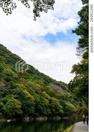 Autumn's Kyoto Arashiyama Katsuragawa 4 Autumn's Kyoto Arashiyama Katsuragawa 4 26081266