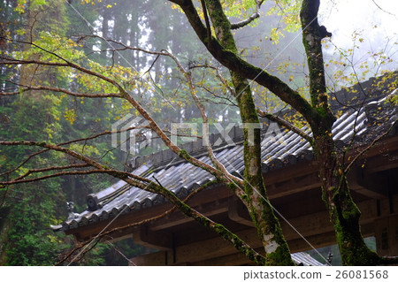 Adanoko Danzan神社東大門（奈良縣櫻井市） 26081568