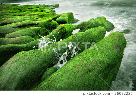 綠色的老梅石槽 26082225