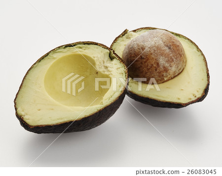 avocado 26083045