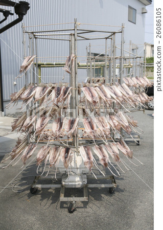 Landscape to dry fish Landscape to dry fish 26086105