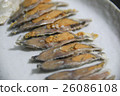 Sushi 26086108