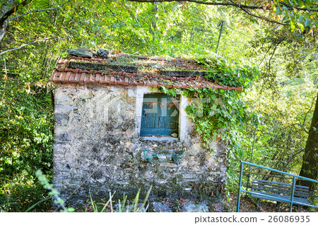 HDR shot of an abandoned overgrown cottage HDR shot of an abandoned overgrown cottage 26086935