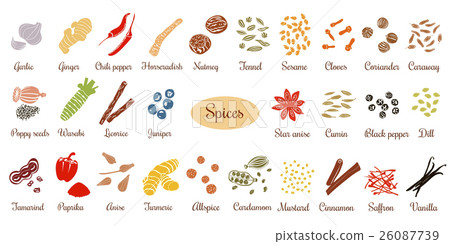 Big set of simple flat culinary spices 26087739