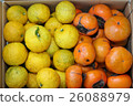 Yuzu and persimmon 26088979