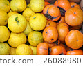 Yuzu and persimmon 26088980