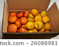 Yuzu and persimmon 26088981