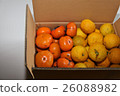 Yuzu and persimmon 26088982