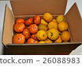 Yuzu and persimmon 26088983