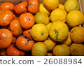 Yuzu and persimmon 26088984