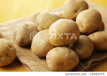 Potato potato 26089479