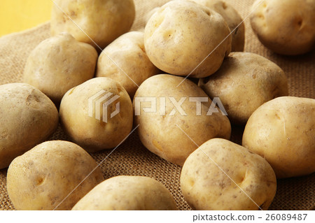 馬鈴薯土豆 26089487