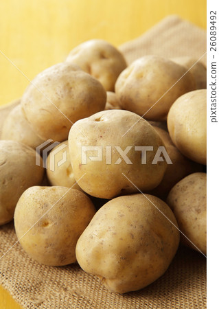 Potato potato 26089492