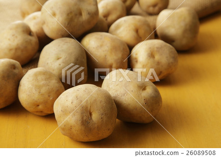 Potato potato Potato potato 26089508