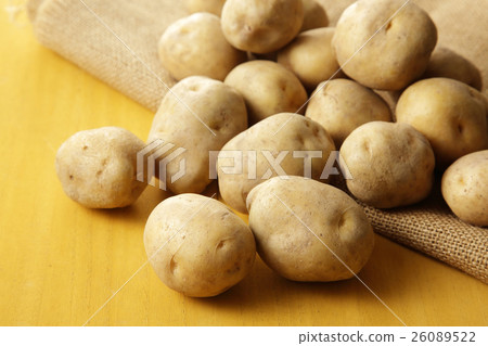 Potato potato 26089522