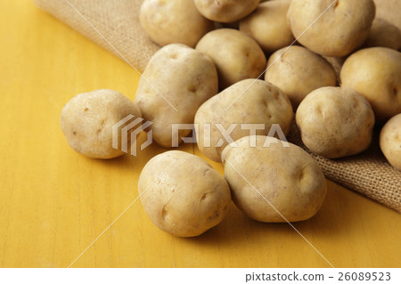 Potato potato Potato potato 26089523