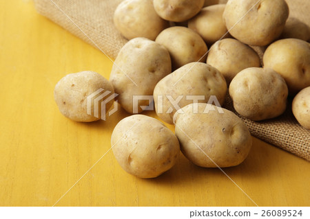 Potato potato Potato potato 26089524