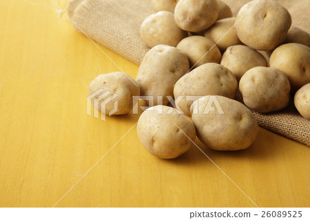 Potato potato Potato potato 26089525