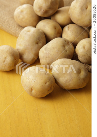 Potato potato Potato potato 26089526