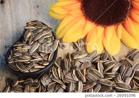 Sunflower seeds Sunflower seeds 26091096
