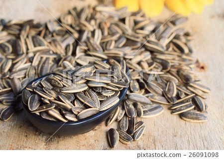 Sunflower seeds Sunflower seeds 26091098
