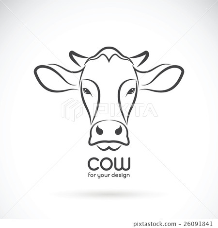 Vector image of a cow head design. 26091841