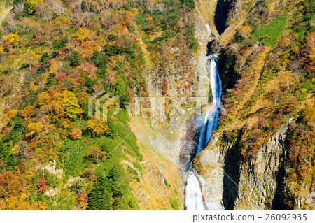 著名的秋葉落 26092935