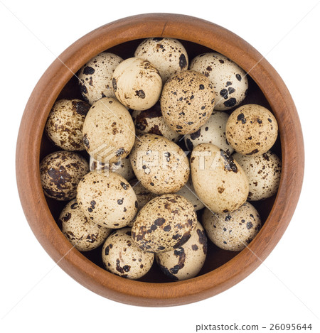 quail eggs in wooden bowl quail eggs in wooden bowl 26095644