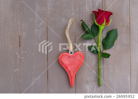 Red rose still life 26095952
