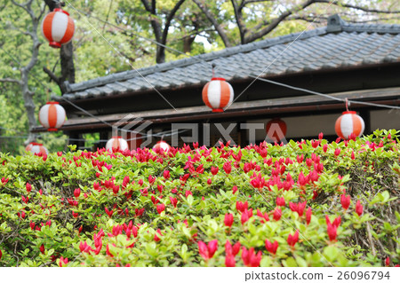 spring in Japan 26096794