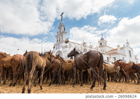 Waiting for of horses in front the church 26098624