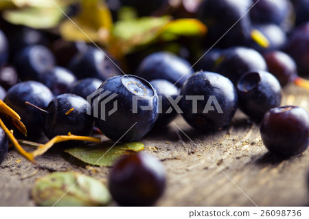 blueberries on a table blueberries on a table 26098736