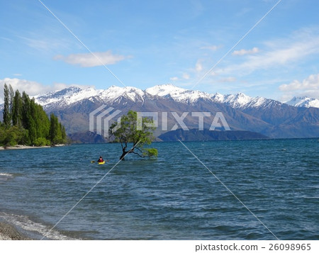 Wanaka's Nature 26098965