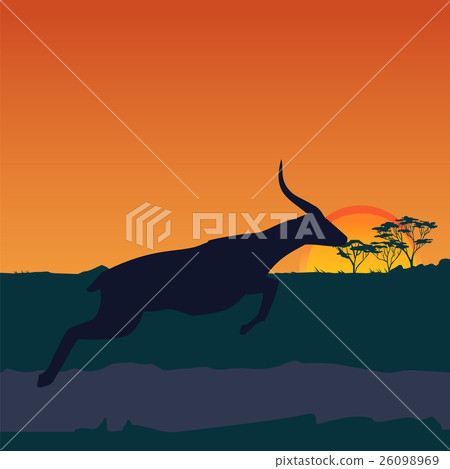 African savanna an evening landscape 26098969