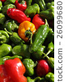 Lots of paprika and bell peppers 26099680