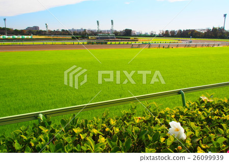 中山賽馬場 26099939