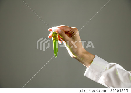 Women's hand with test tube 26101855