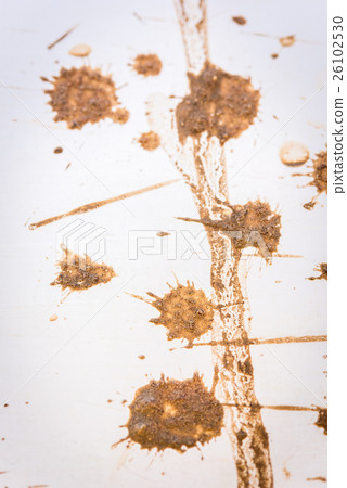 mud splatter background 26102530