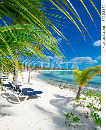 tropical beach in Maldives 26103172