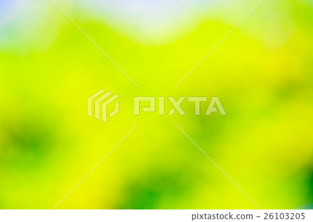 green bokeh background green bokeh background 26103205
