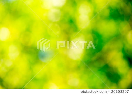 green bokeh background green bokeh background 26103207