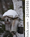 鳥巢箱（冬季） 26104986
