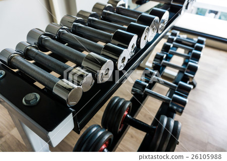 Dumb bells lined up in fitness room Dumb bells lined up in fitness room 26105988