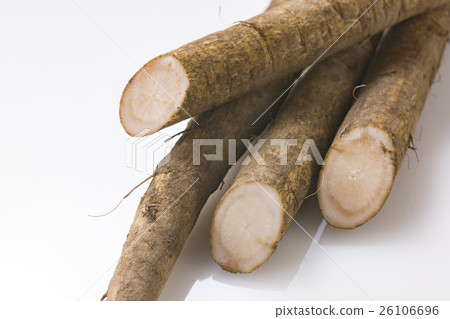Burdock root 4 26106696