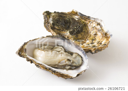 牡蠣 26106721